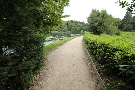 Path to the lake in a park with green trees and bushes.