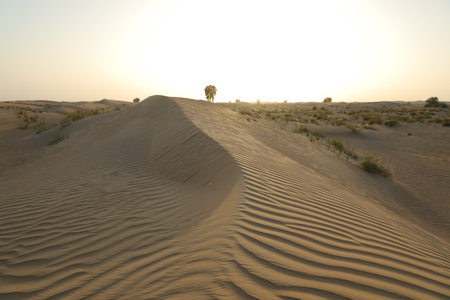 Sand dunes in the Sahara desert, Merzouga, Moroccoの写真素材