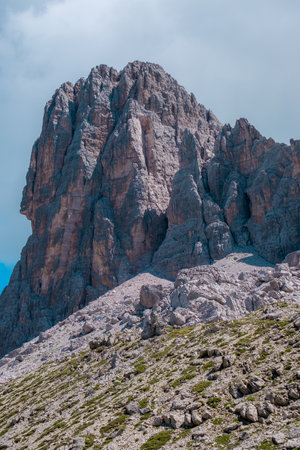 tree foreground with mountain backgroundの写真素材