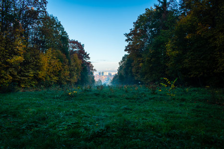 pathway in the middle of forest with city lookoutの写真素材