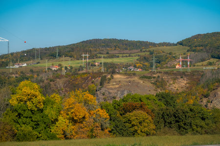 a tree with a hill in the backgroundの写真素材