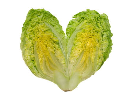 lettuce heartの写真素材