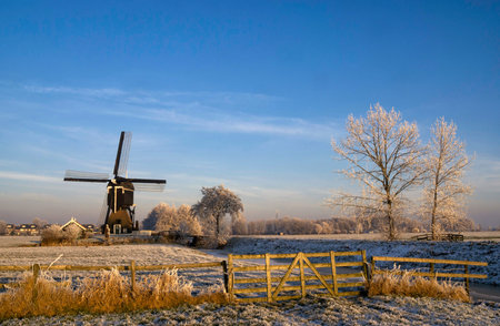 Windmill "Little Tiendweg mill 'near Streefkerk in winterの写真素材