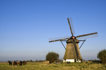 Oude Doornse millの写真素材