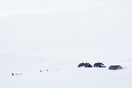Dog sled on the Hardangerviddaの写真素材