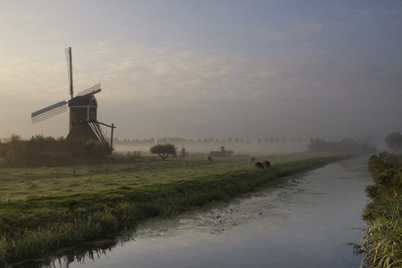 Wingerdse mill in misty morning atmosphereの写真素材