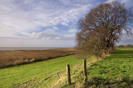 Trees on the Mirnser cliffの写真素材