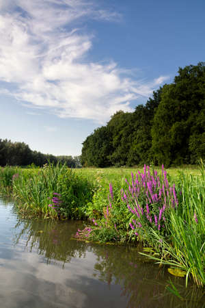 Bank of the river Lingeの写真素材