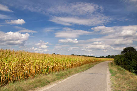 Dike along the river Maasの写真素材