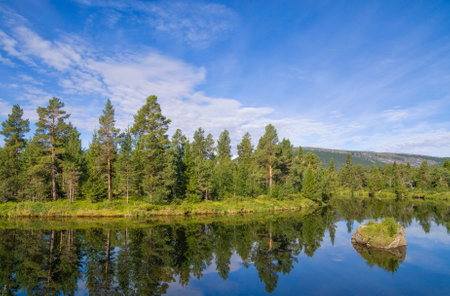 View over the Ljusnan river close to the village Ljusnedal in the Swedish province Jamtlandの写真素材