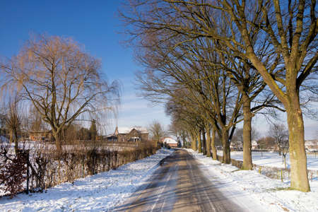Road between trees surrounded by a snowy landscapeの写真素材