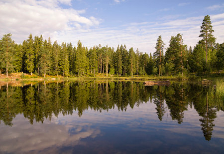 Trees reflecting in a lake near the Swedish village Annaboda in the Kilsbergen regionの写真素材