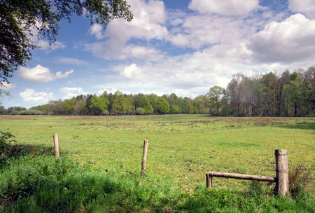 Meadow in the Pannenhoef nature reserve near Rijsbergenの写真素材