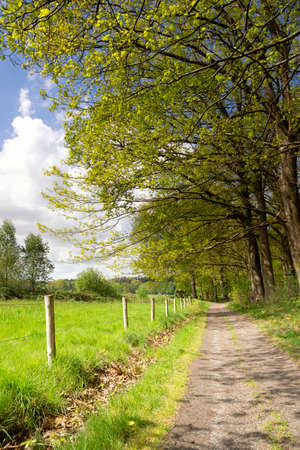 Path in the Pannenhoef nature reserve near Rijsbergenの写真素材