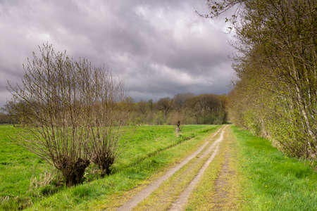 Heavy clouds above a road on the Henschoten estateの写真素材
