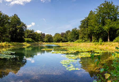 Pond in the Arnoldspark on the estate Landgoed de Utrechtの写真素材