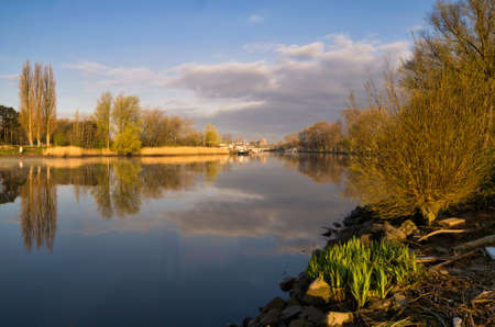 Beautiful morning near the Dutch city Dordrechtの写真素材