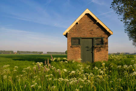 Shed in a wild flower covered landscape near Dordrechtの写真素材
