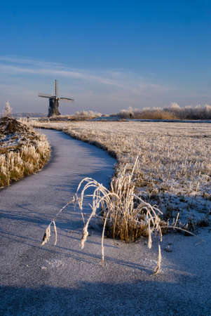 Frozen pond with riped reed near Streefkerkの写真素材