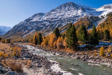View over the river at autumn colored treesの写真素材