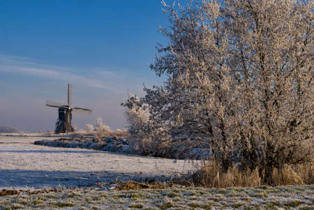 Riped trees in front of the windmill Broekmolen close to the Dutch village Streefkerkの写真素材