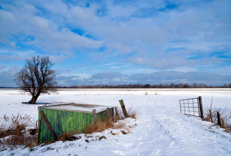 Shed and solitary tree in a snow covered landscape near the Dutch village Werkendamの写真素材
