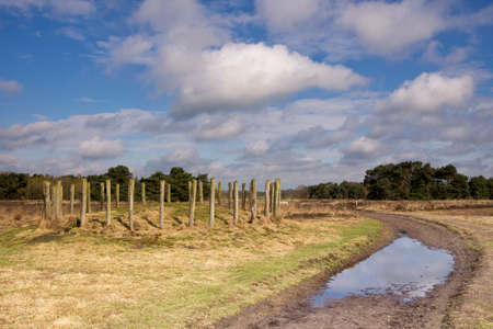 Tomb hill along a sandy footpath in the nature reserve Regte Heide close to the Dutch village Goirleの写真素材