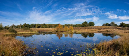 The Rolvennen is a beautiful lake in the Dutch National Park Meinweg close to the city Roermond in Limburgの写真素材