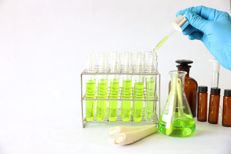 Analysis of active substances in lemongrass in the laboratory. 
Scientists drop a solution of...