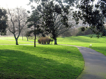 Sunset in the park with a path and trees in the foregroundの写真素材