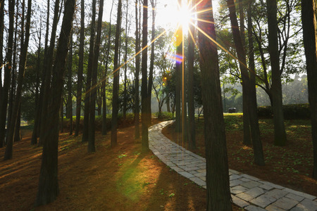 Taihu Turtle Head Isletの写真素材