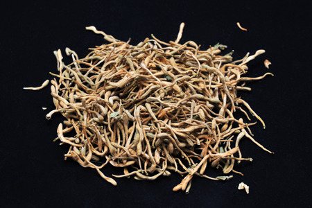 Traditional Chinese medicineの写真素材