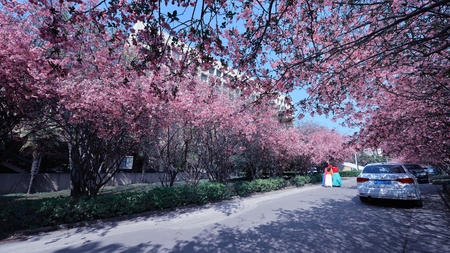 park sceneryのeditorial素材