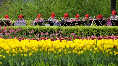 Tulip Parkのeditorial素材