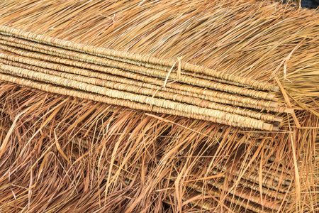 Tropical thatch roof in Thailand.