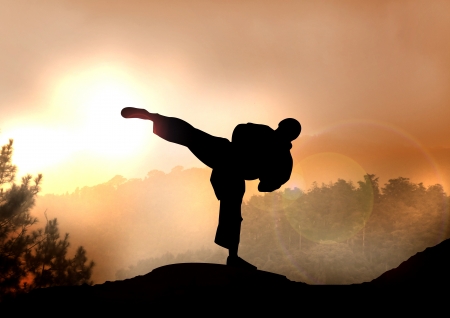 A Stock Illustration of Karateka Training on Mountainの写真素材