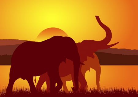 Stock Vector Illustration of Elephants walking on Sunsetのイラスト素材