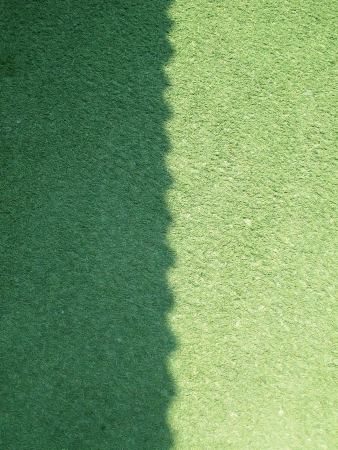 yard view with shadowy and sunny                              の写真素材