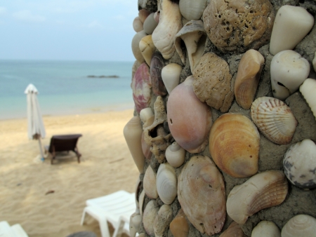 shells and sea at Koh Lanta, Southern of Thailand の写真素材