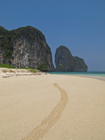 beach of tropical island, ko lao liang, thailand の写真素材