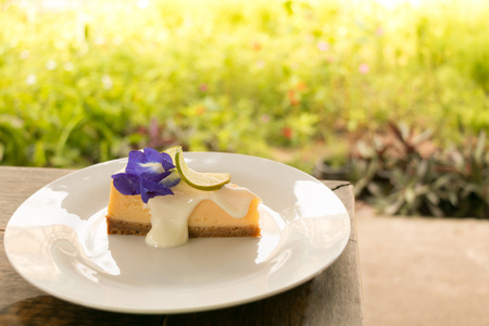 A piece of delicious lemon cheese pie in white plate on wooden table with green garden background.の写真素材
