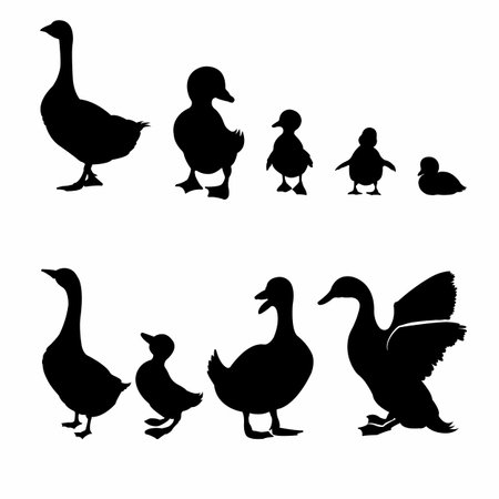 set of silhouettes of ducks and ducklings on a white backgroundのイラスト素材