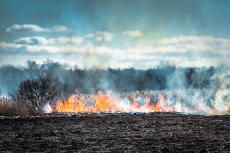 Burning grass field in the spring.Nature in danger backgroundの写真素材