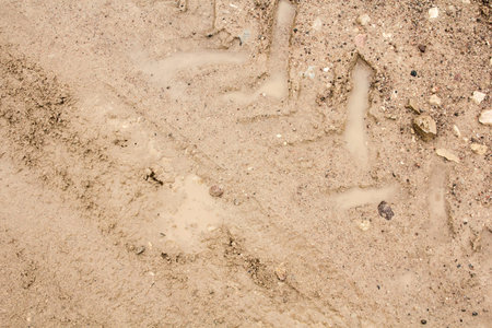 Tire tracks on a wet muddy road, abstract background