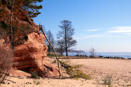 Trees and big stones at Baltic sea rocky shore near Tuja, Veczemju klintis, Vidzeme, Latvia, landscapeの写真素材