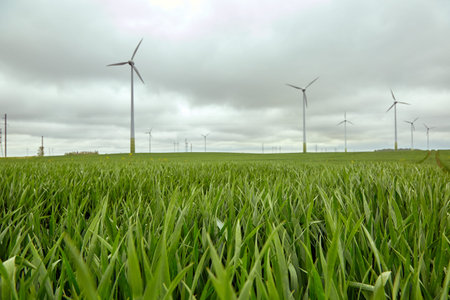 wind power generators in a green field in end of May