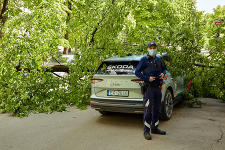 May 28, 2021,Riga Latvia: a strong wind broke a tree that fell on a car parked nearby, disaster...