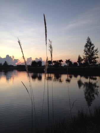 The sky lighted up to myriad of colours as the sun rises. の素材