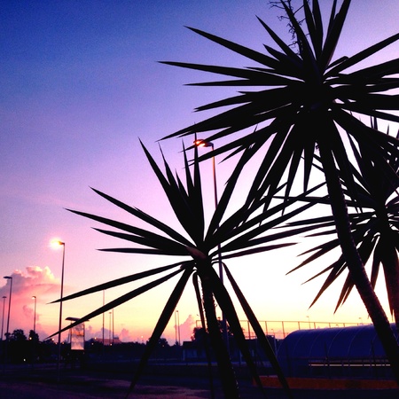 The glowing sky as the sun rises の素材