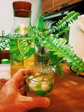 This lemon and mint infused water is a natural body detox. You can do it yourself as home remedy. Keep it chill and drink first thing in the morning when you woke up.の素材